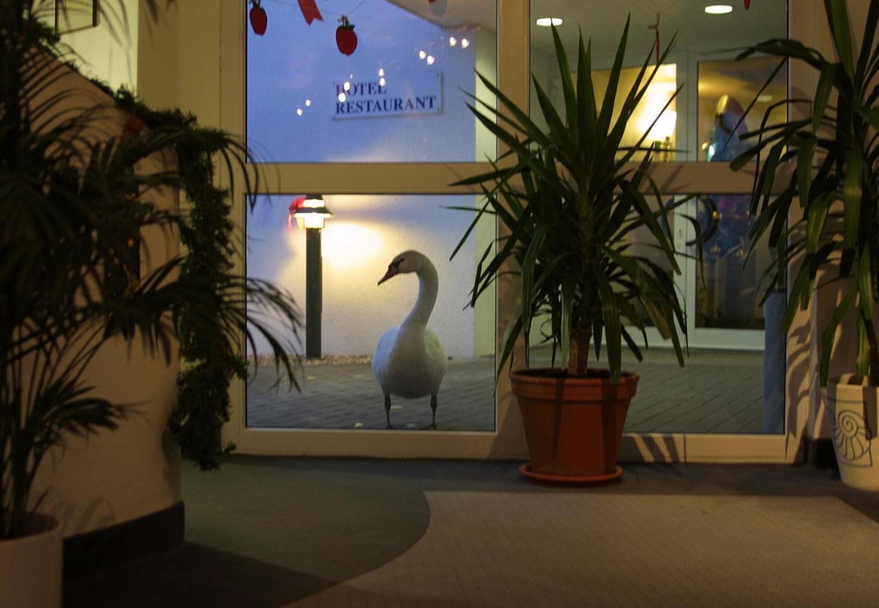 Seehotel Luisenhof Falkenhagen  Ngoại thất bức ảnh